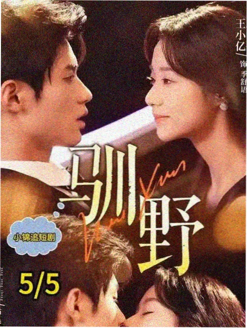 美国生活电影 - 美式家庭