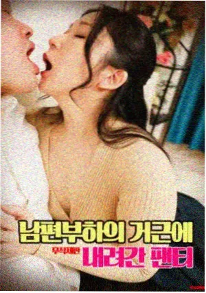 美国生活电影 - 德州之家